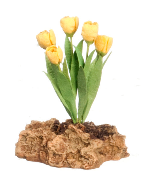 Tulips Plant on Rock, Yellow