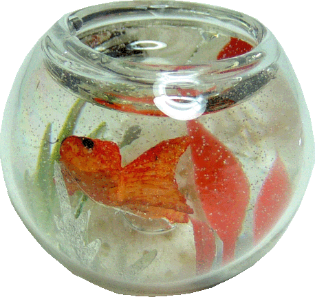 Fish Bowl with Goldfish
