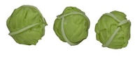 Cabbage, Set of 3