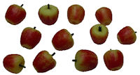 Macintosh Apples, 12pc