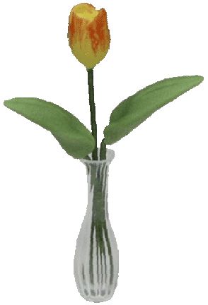 Yellow & Orange Tulip in Bud Vase