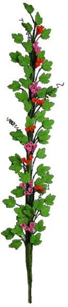 Magenta Orange Flowering Vine