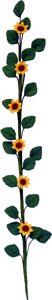 Sunflower Vine