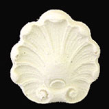 Shell Appliques, 4pc, #13