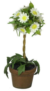 White Daisy Topiary