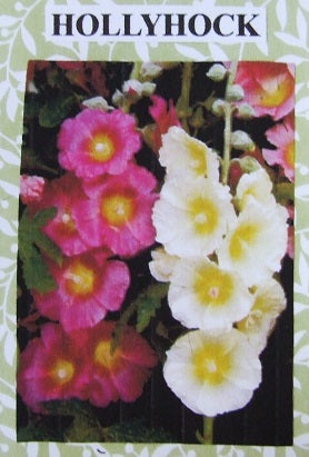 Hollyhock Flower Kit
