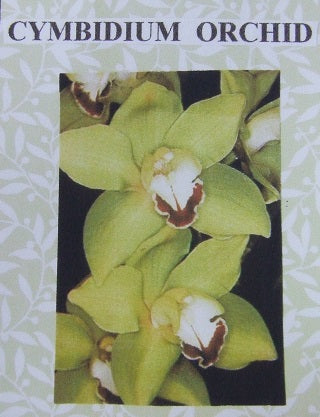 Cymbidium Orchid Flower Kit