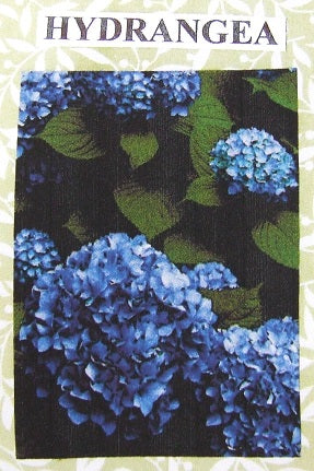 Hydrangea Flower Kit
