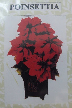 Poinsettia Flower Kit