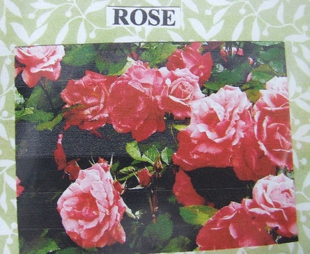 Rose Flower Kit