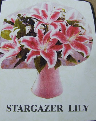 Stargazer Lily Flower Kit