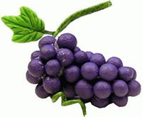 Purple Grapes, bunches