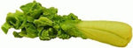 Celery, 6 Bunches