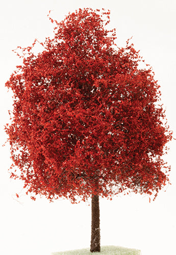 Oriental Japanese Maple Tree, Maroon, 6"