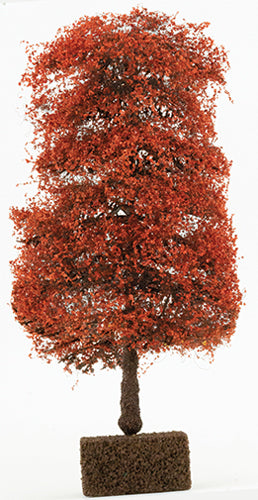 Maroon Oriental Red Maple Tree, 8"