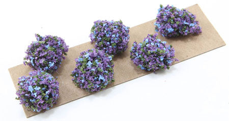 Border Plant, Purple, Blue, 6pc