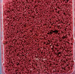 Krinkles, Large, Burgandy