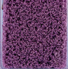 Krinkles, Large, Purple