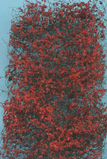 Vine, Autumn Rusty Red, Small