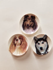 Dog Plate, 3pc