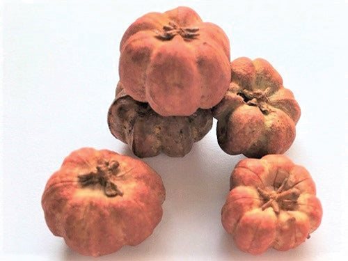 Pumpkins, 6pc