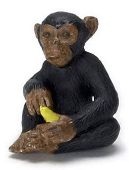 Chimpanzee with Banana