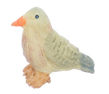 Common Ground Dove Bird