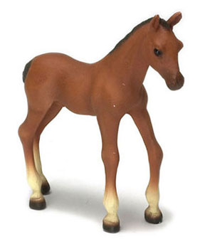 Pony Colt, Brown