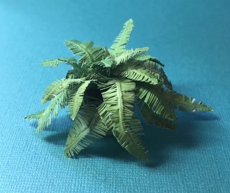 Boston Fern Kit