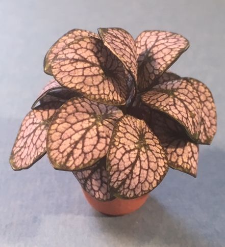 House Plant Kit, 203