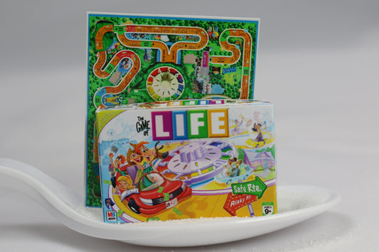 Life Board Game