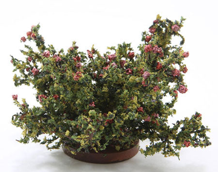 Large Rose Bush, Pink