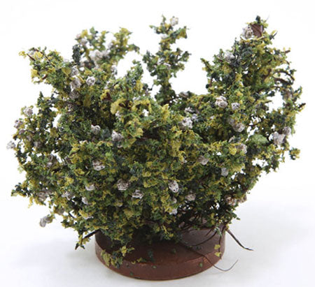 Large Rose Bush, White