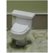 CSK070, Toilet Kit, Clear, Gold Handle