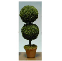 Topiary, Large Round