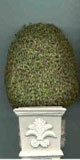 Topiary 4 1/2", Square Base