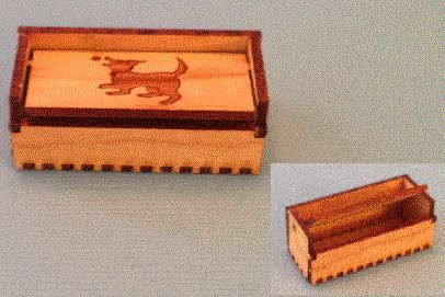 Pet Toy Box Kit