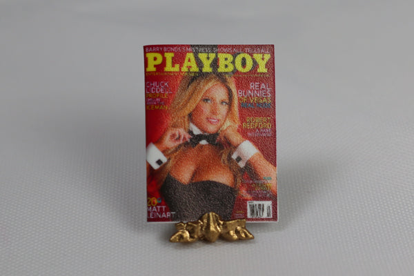 Magazine, Playboy