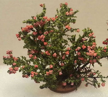 Small Rose Bush, Pink