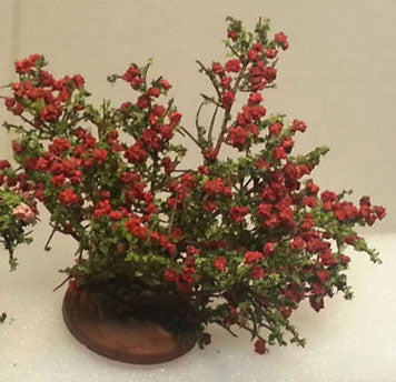 Small Rose Bush, Red